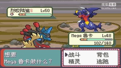 口袋妖怪永恒之沫1