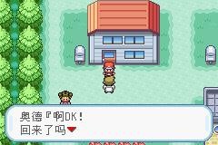 口袋妖怪火红汉化版博士查看图鉴场景