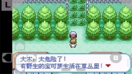 口袋妖怪火红汉化版玩家交换宝可梦场景