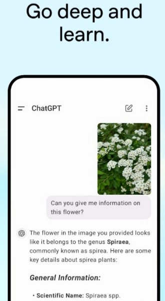 免费ChatGPT中文版2