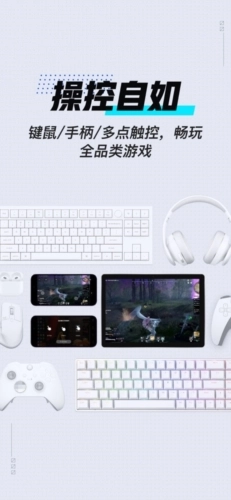 GameViewer汉化版最新版截图4