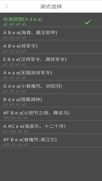 智能琵琶调音器图1
