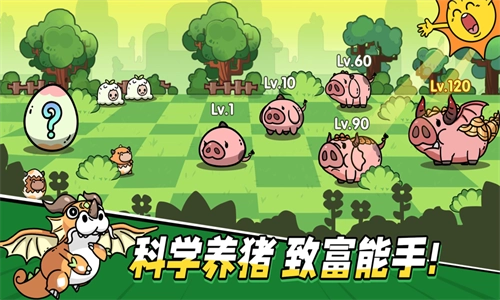 次神光之觉醒国际服(1)