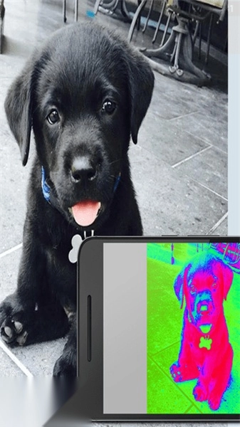 手机热成像仪图3