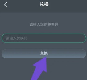 粘贴兑换码完成兑换