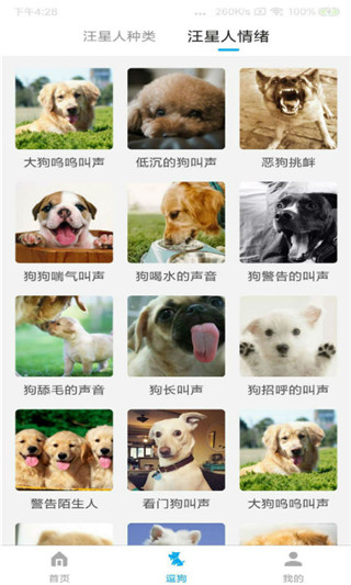 动物翻译器截图2