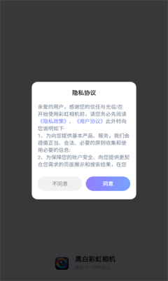 黑白彩虹相机截图