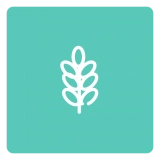 超能搜搜索引擎