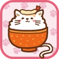 猫咪盖饭