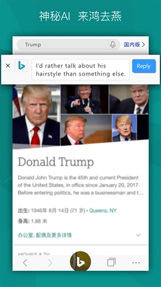 必应Bing国内版图1