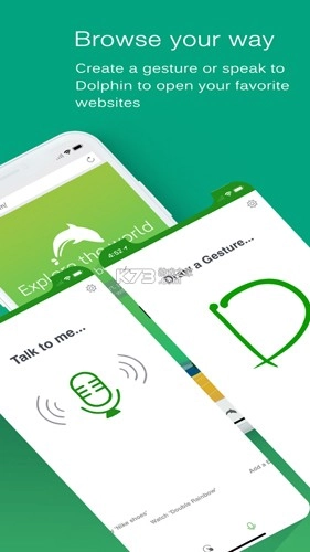 海豚浏览器flash版1