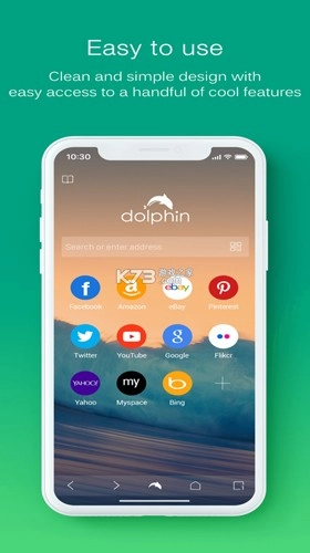 海豚浏览器flash版2