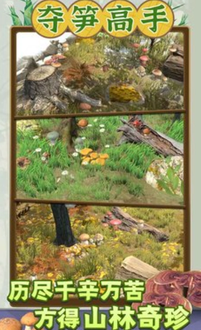 夺笋高手手机正版图4