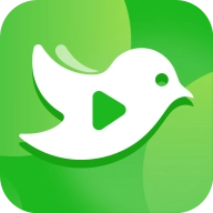 白鸟影评最新版