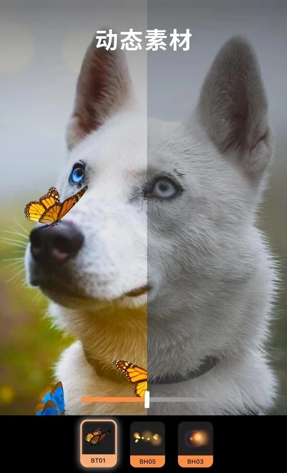 Motionleap最新版图1