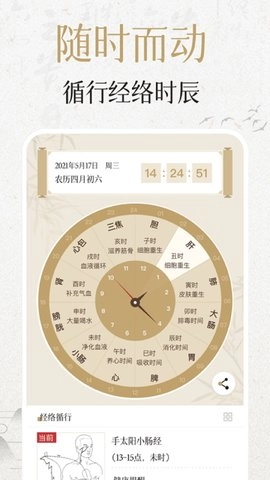 中济经络穴位图5