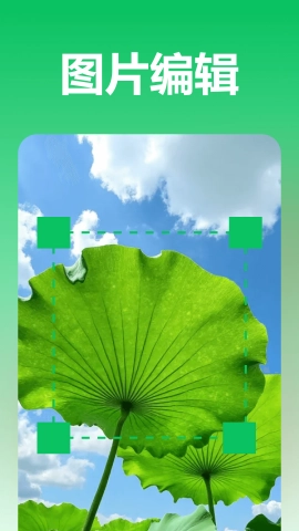 极光录音转文字最新版4