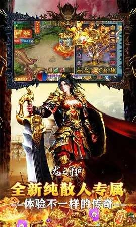 龙之守护免费版-图4