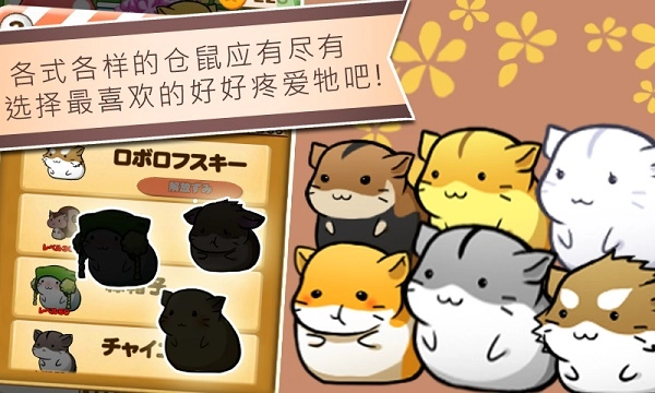 仓鼠的日常国际版(1)