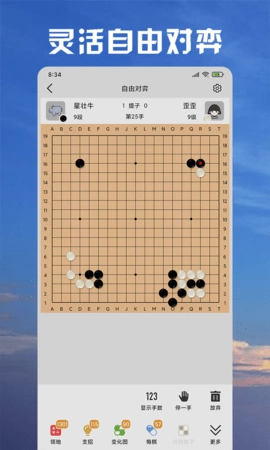 星阵围棋截图4