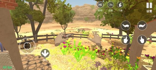 小忍计划国际版