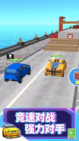 特技赛车手3D(1)