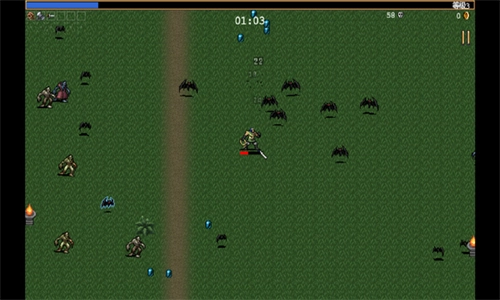 吸血鬼幸存者国际版图2