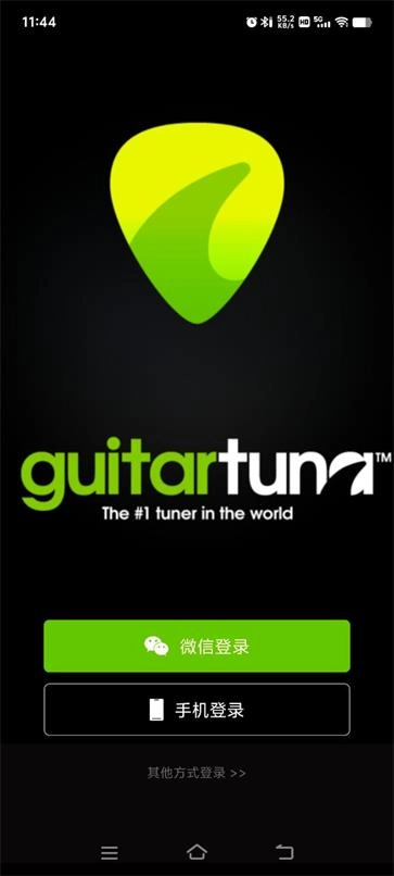 guitartuna4