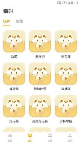 人貓翻譯器截圖2