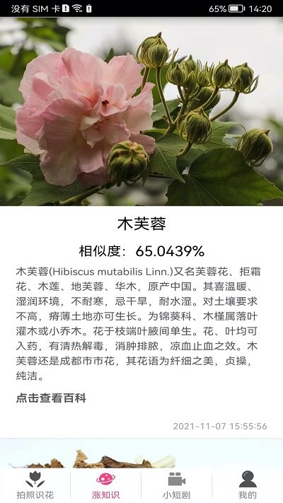 拍照识花神器手机免费版截图0