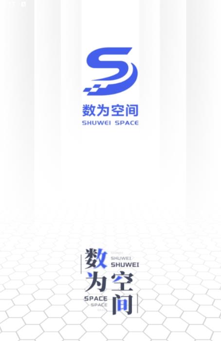 数为空间数字藏品截图0