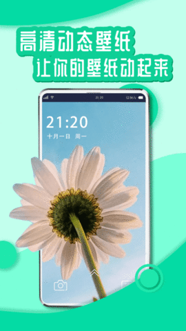 花漾动态壁纸免费版截图2