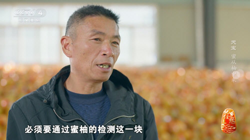 新际TV直播截图