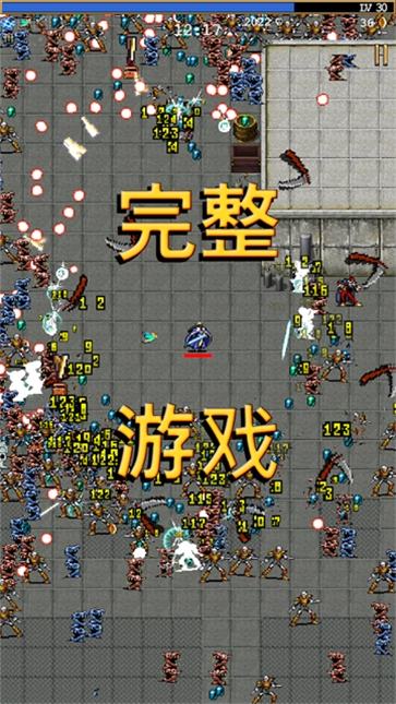 吸血鬼幸存者图5