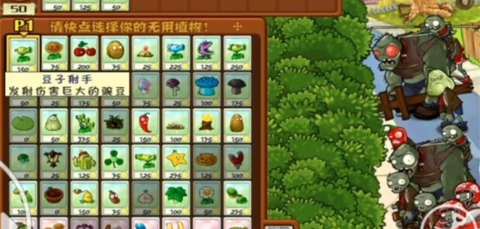 植物大战僵尸火焰版图2