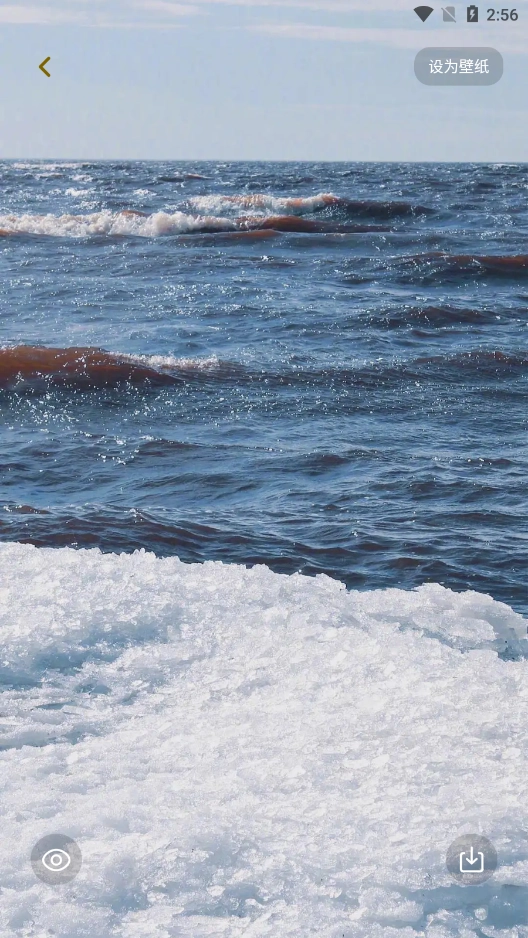 景深壁纸安卓版