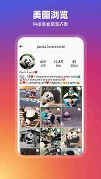 instagram2026正版