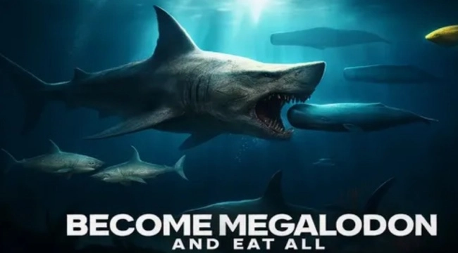 鲨鱼王国游戏图2