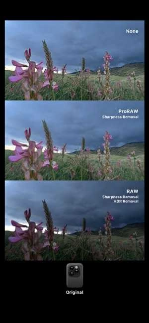 Dazz相机安卓版3