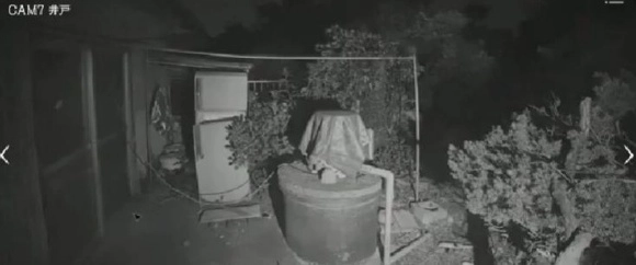 日本事故物件监视协会官方游戏下载插图3