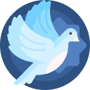 白鸽影视手机版