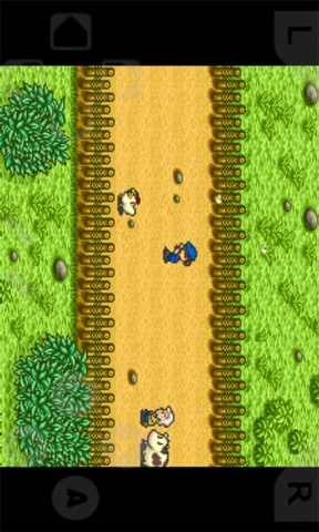 牧场物语中文豪华版图2