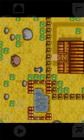 牧场物语中文豪华版图3