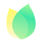 飞火动态壁纸手机版