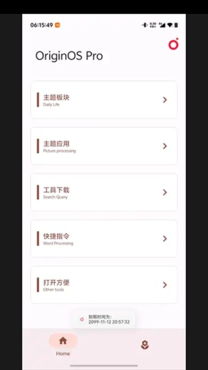 OriginOS Pro