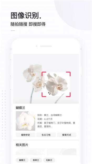 简单搜索手机版