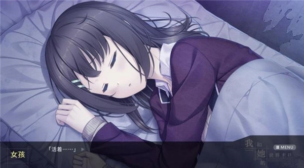 我和她的世界末日图3