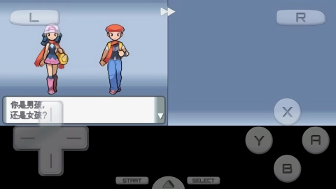 口袋妖怪钻石截图2