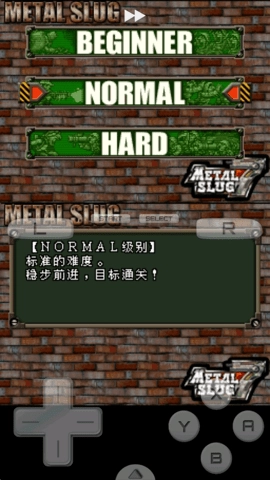 合金弹头7金手指版(2)