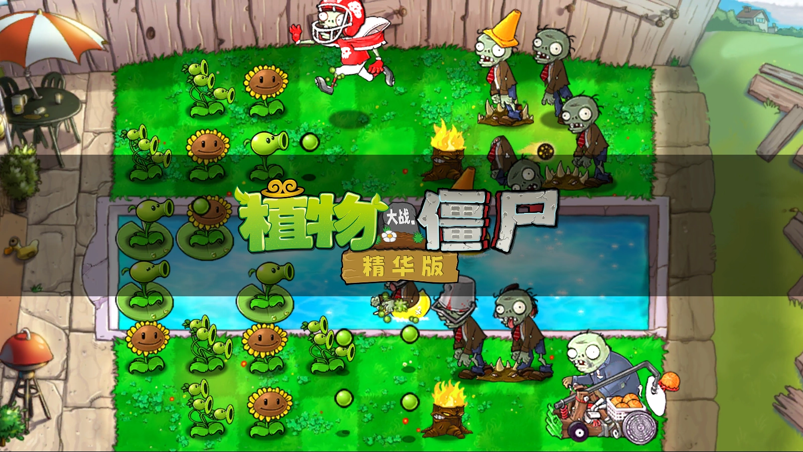 植物大战僵尸精华版